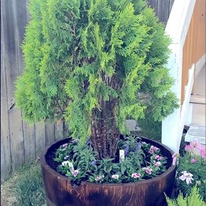 Meet your Posher, Arlene